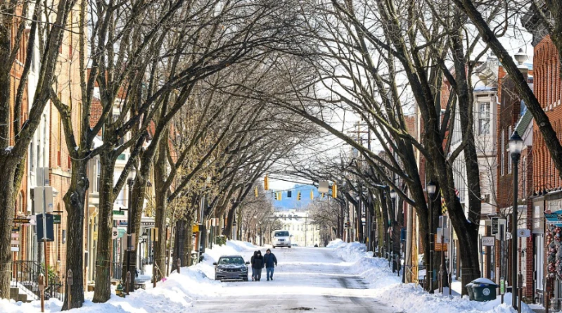 スクリーンショット_2026-01-27_085351_385 ScreenShot_2026-01-27_085351_385