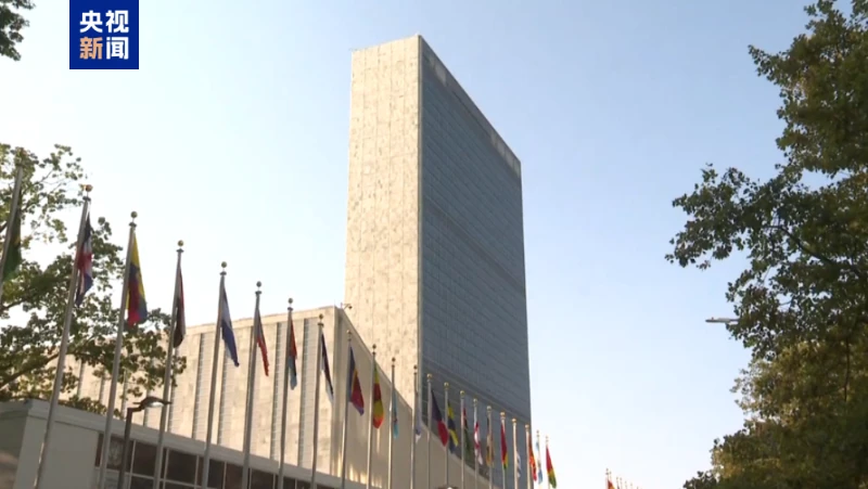 国連総会は、最も重大な人道に対する罪を宣言する決議を採択した。